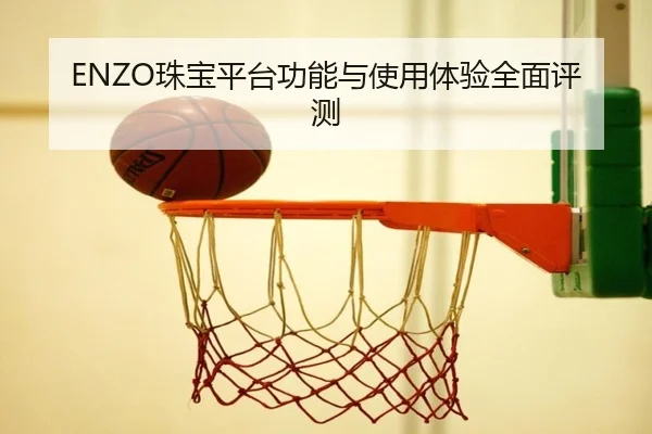 ENZO珠宝平台功能与使用体验全面评测