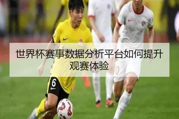 世界杯赛事数据分析平台如何提升观赛体验